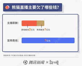 圖解王思聰商業(yè)風(fēng)波 從“國民老公”到“限消令”漩渦，熊貓直播債務(wù)迷局待解