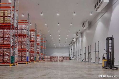 國(guó)內(nèi)知名農(nóng)產(chǎn)品冷庫(kù)廠商推薦及技術(shù)服務(wù)解析